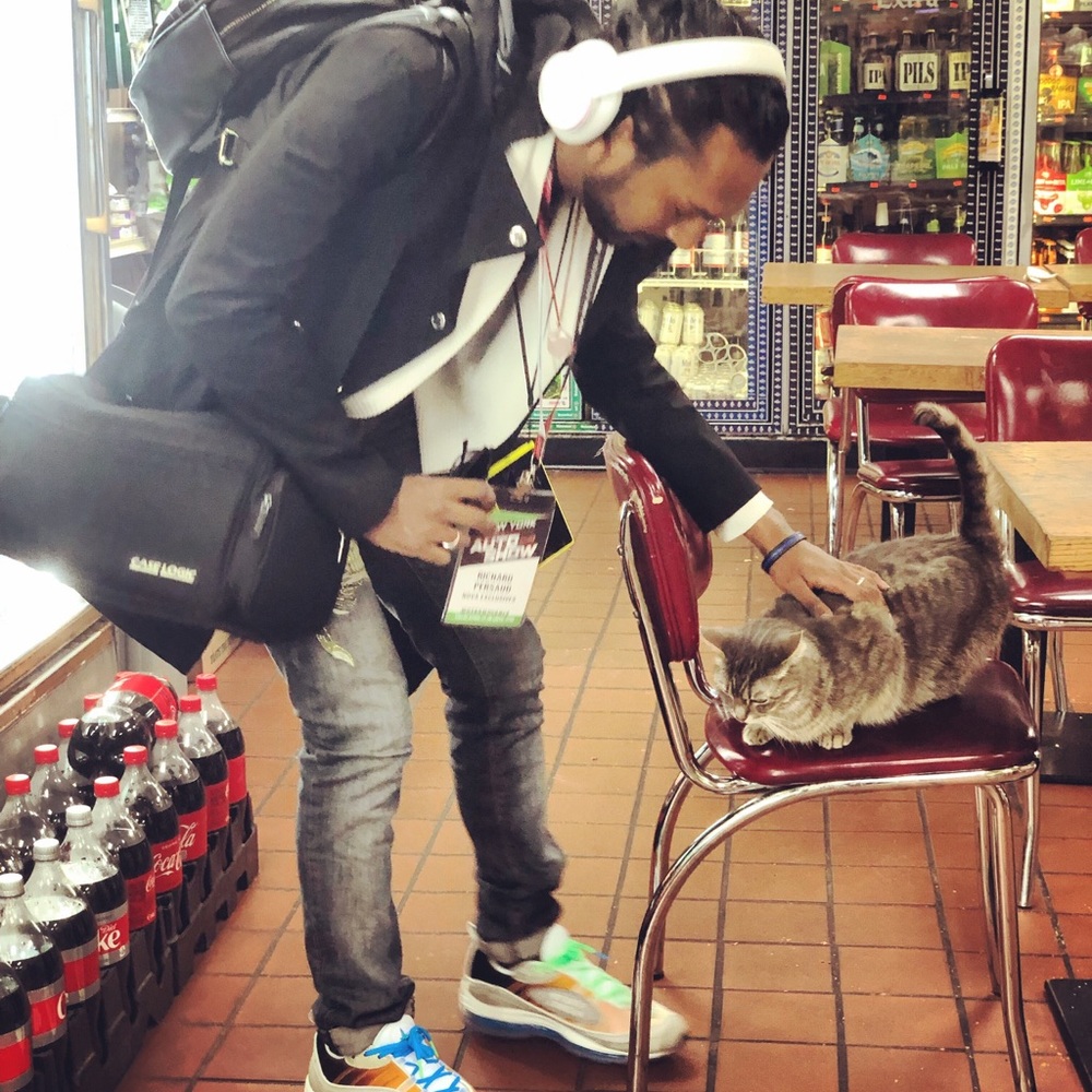 Meet your Posher, Richard - Picture 5 of 8